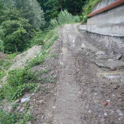 VIA AI PINI DI RIVAROLO